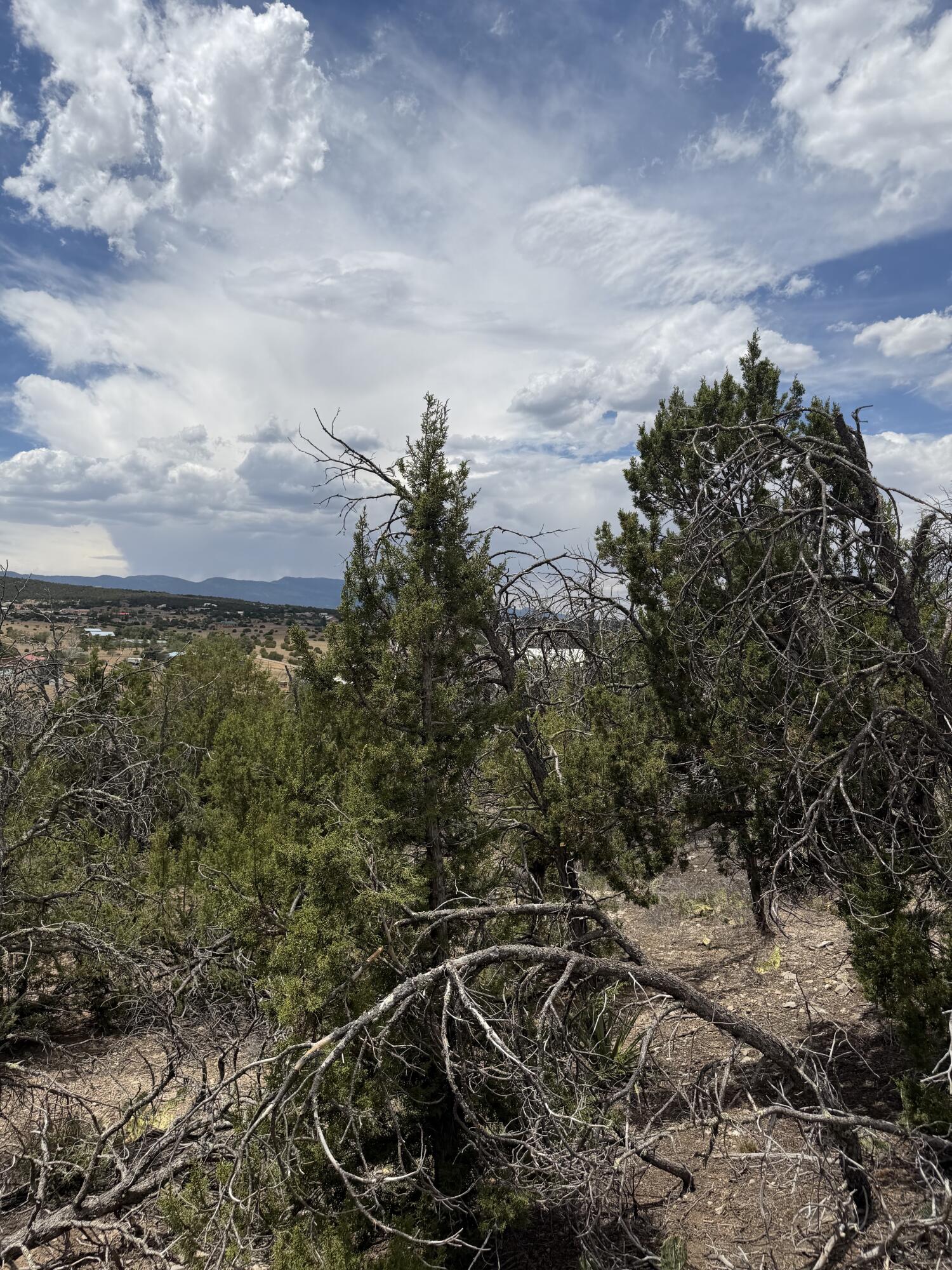 Photo 13 — 0 County Line Road
