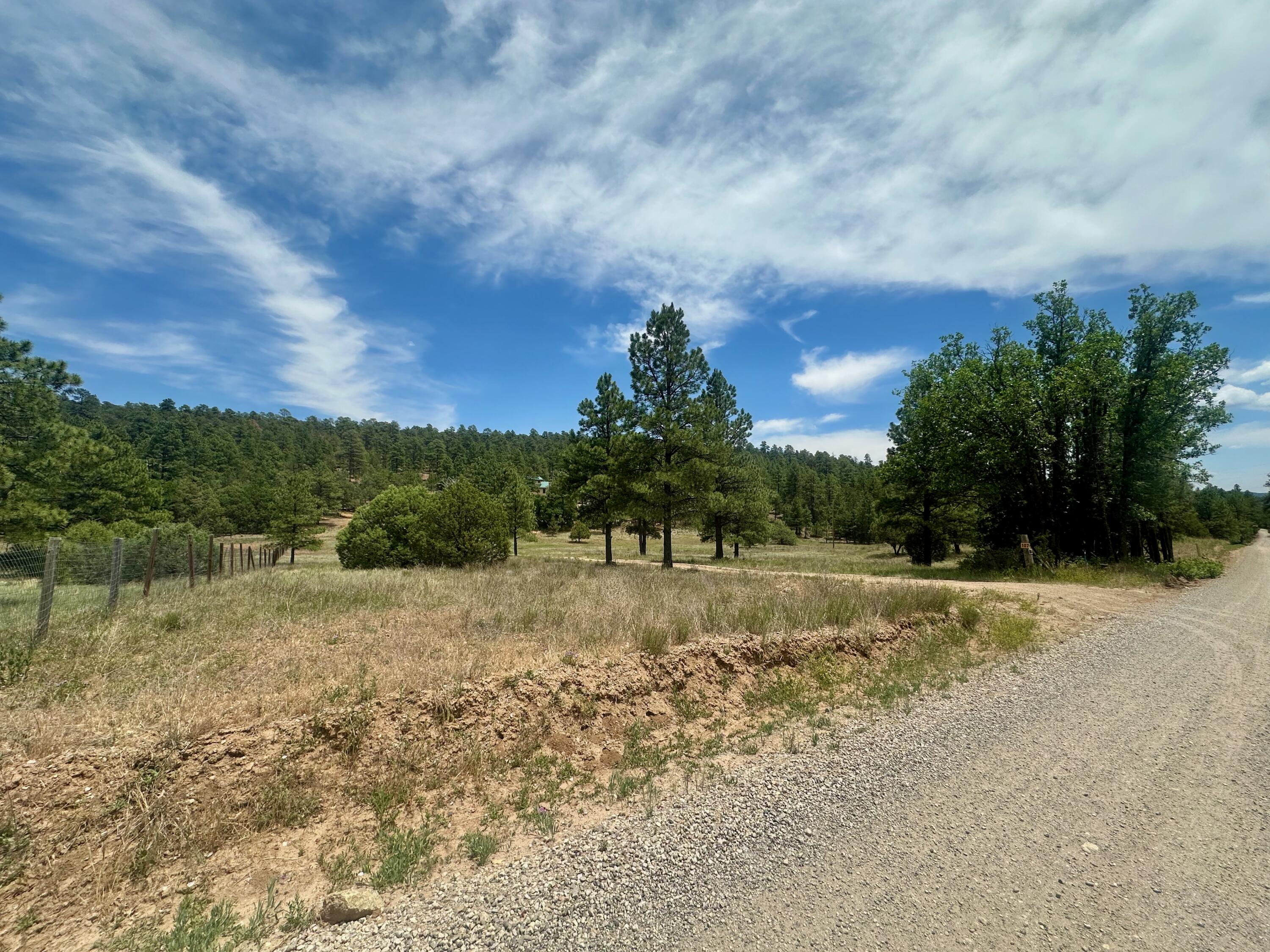 Photo 10 — 107 Skyland Boulevard