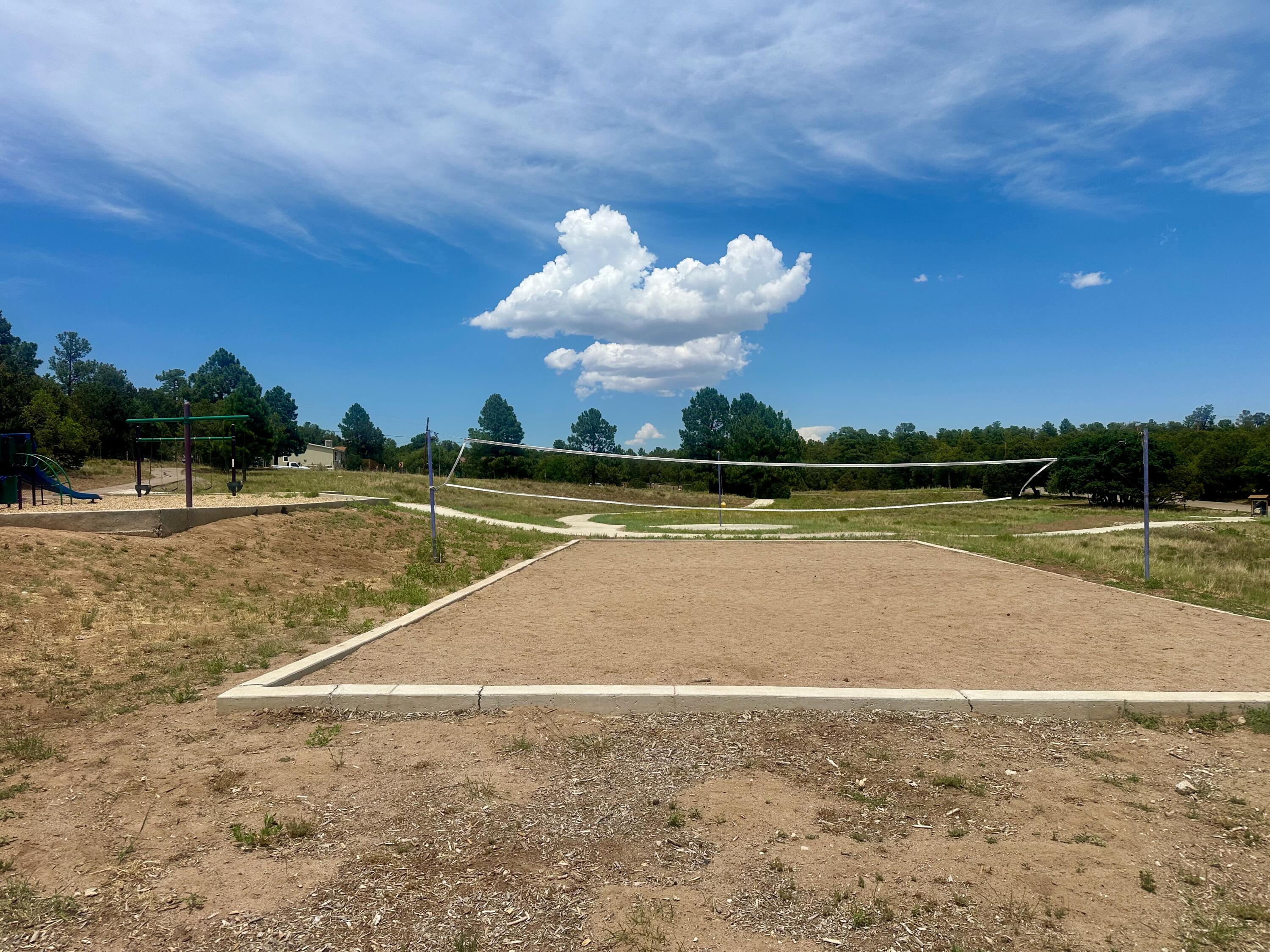 Photo 6 — 107 Skyland Boulevard
