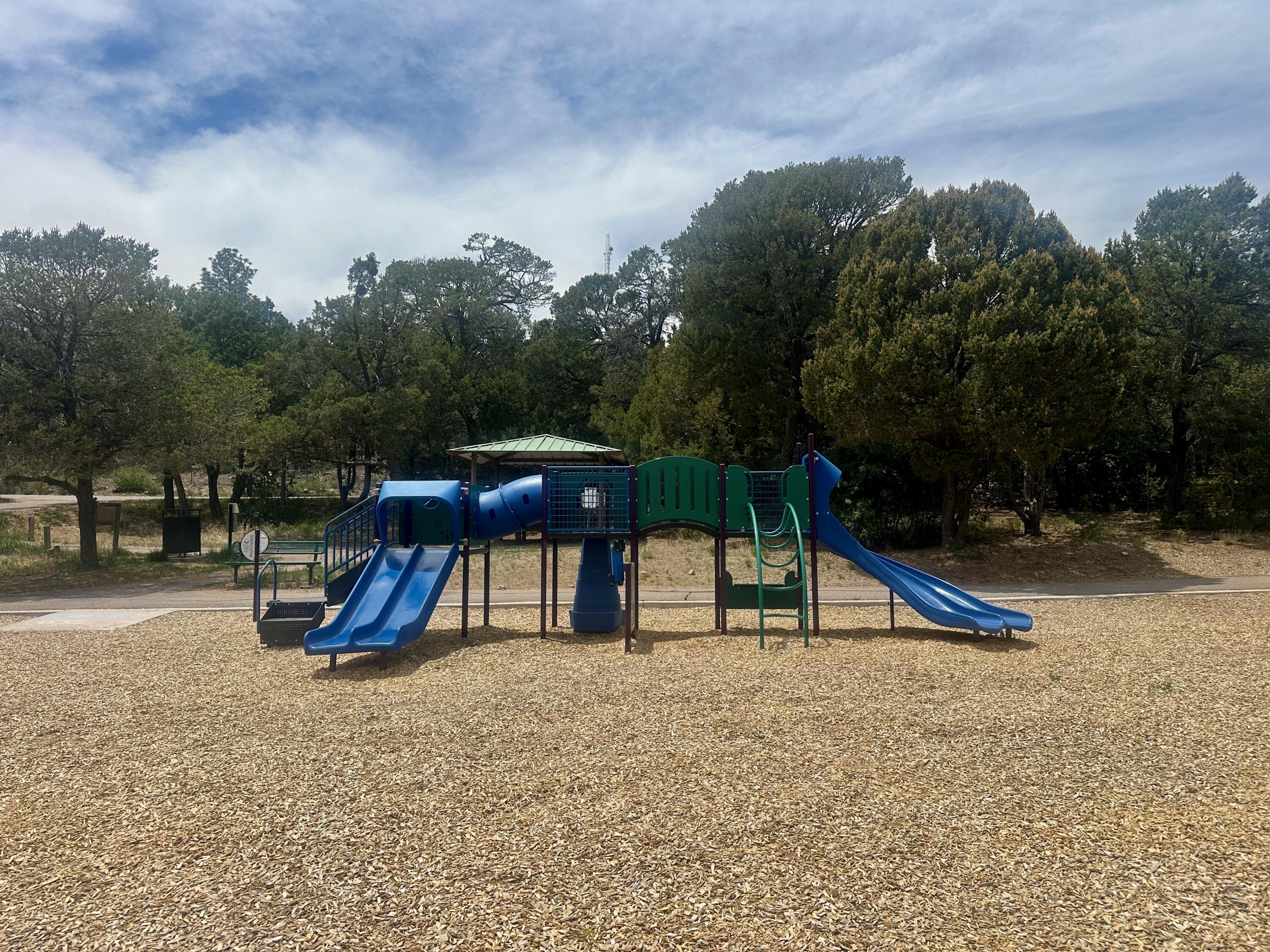 Photo 5 — 107 Skyland Boulevard