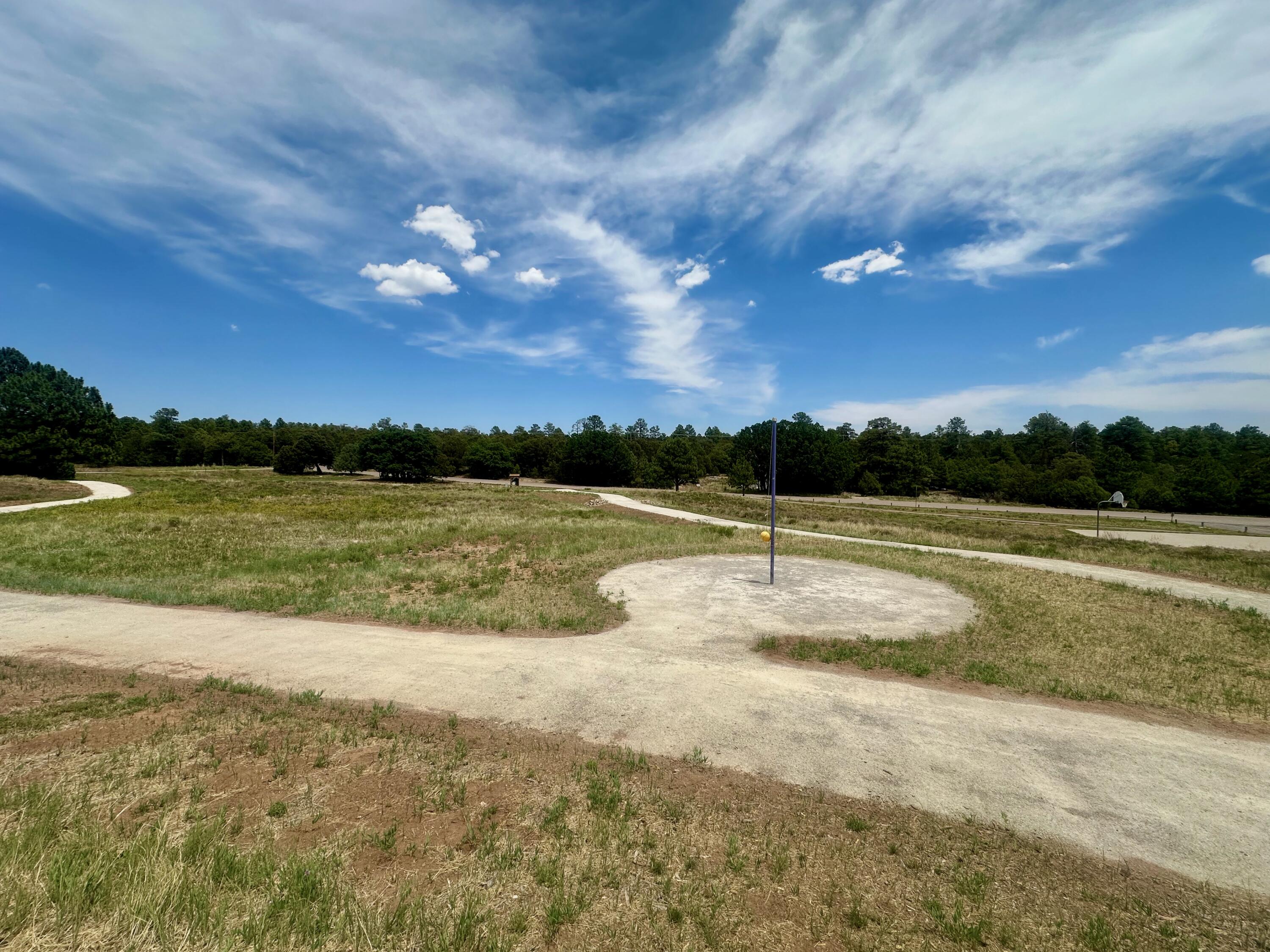 Photo 3 — 107 Skyland Boulevard