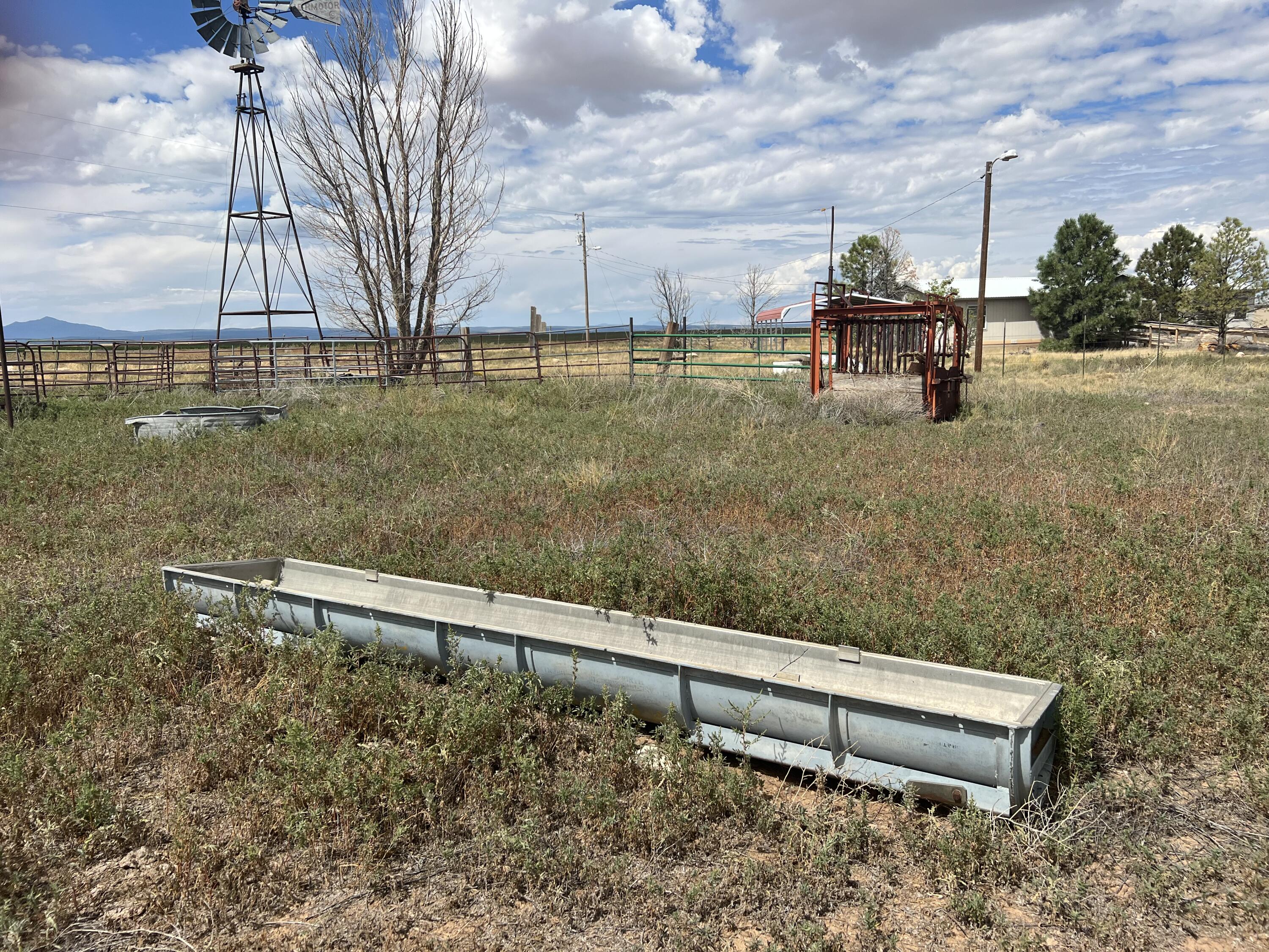 Photo 2 — 57 Watson Road