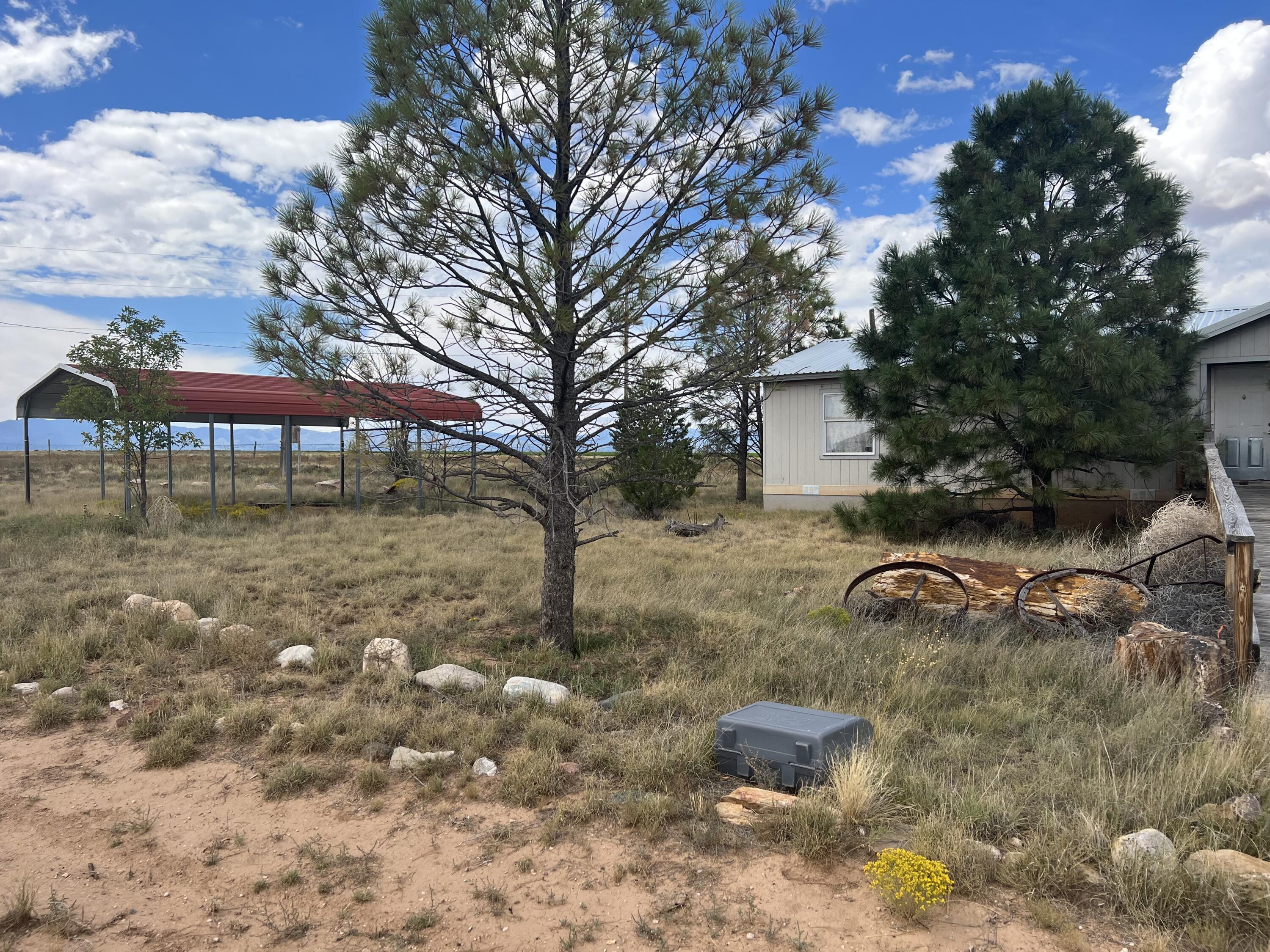 Photo 5 — 57 Watson Road