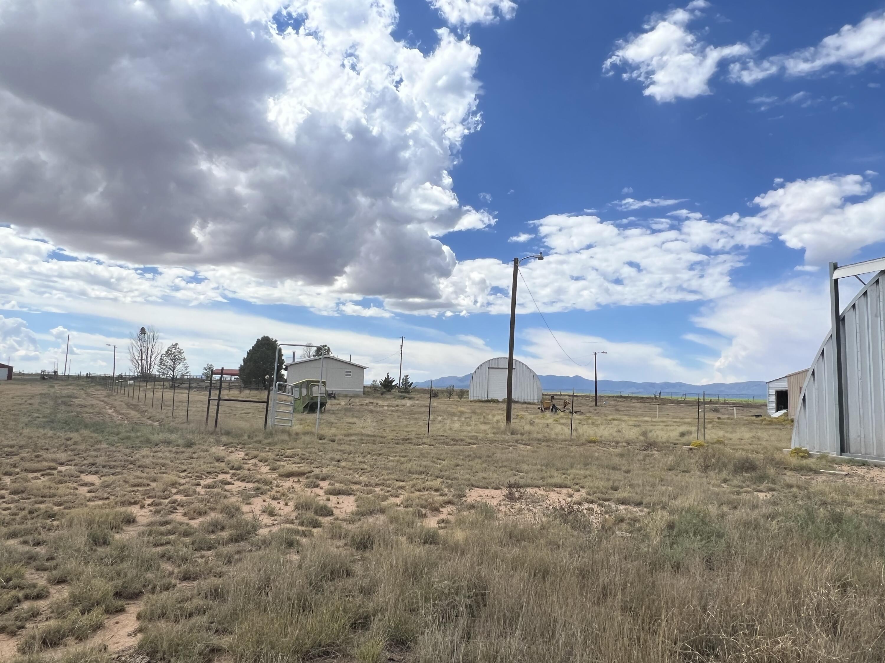 Photo 7 — 57 Watson Road