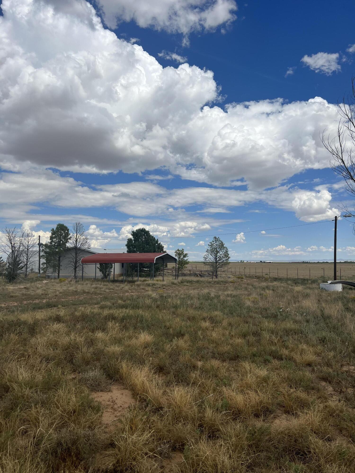 Photo 13 — 57 Watson Road