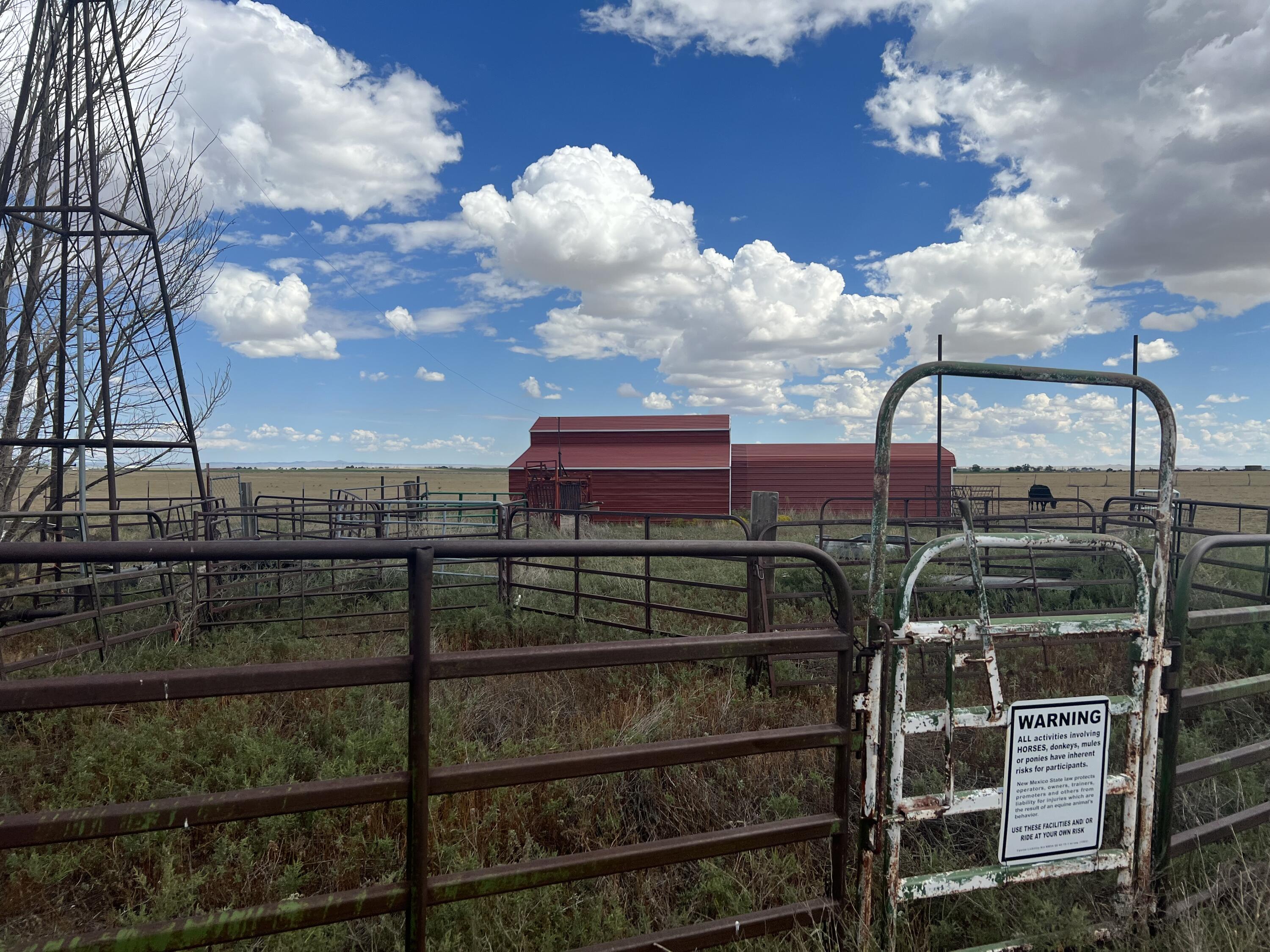 Photo 14 — 57 Watson Road
