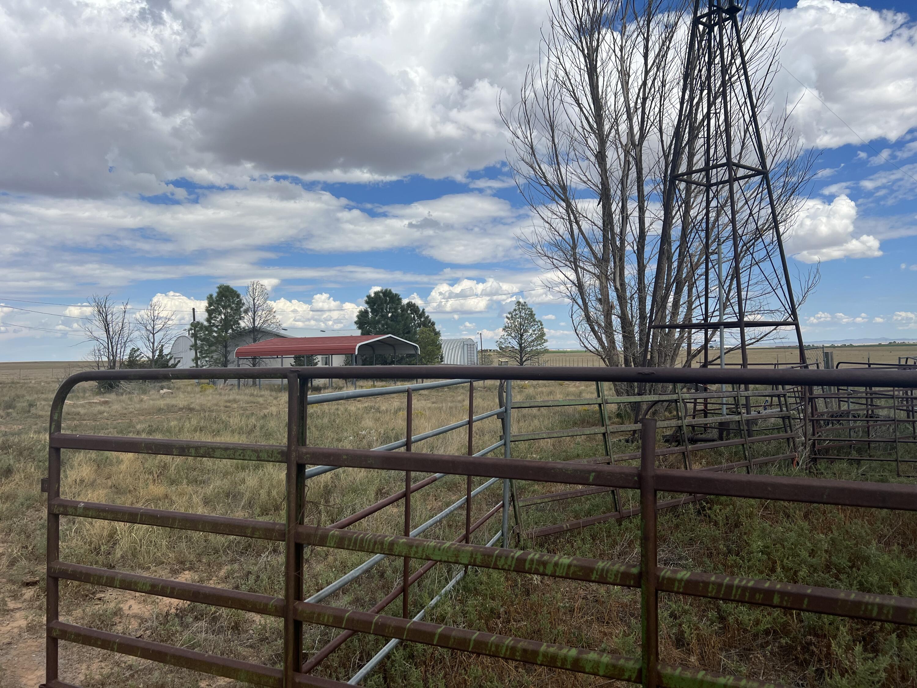 Photo 15 — 57 Watson Road