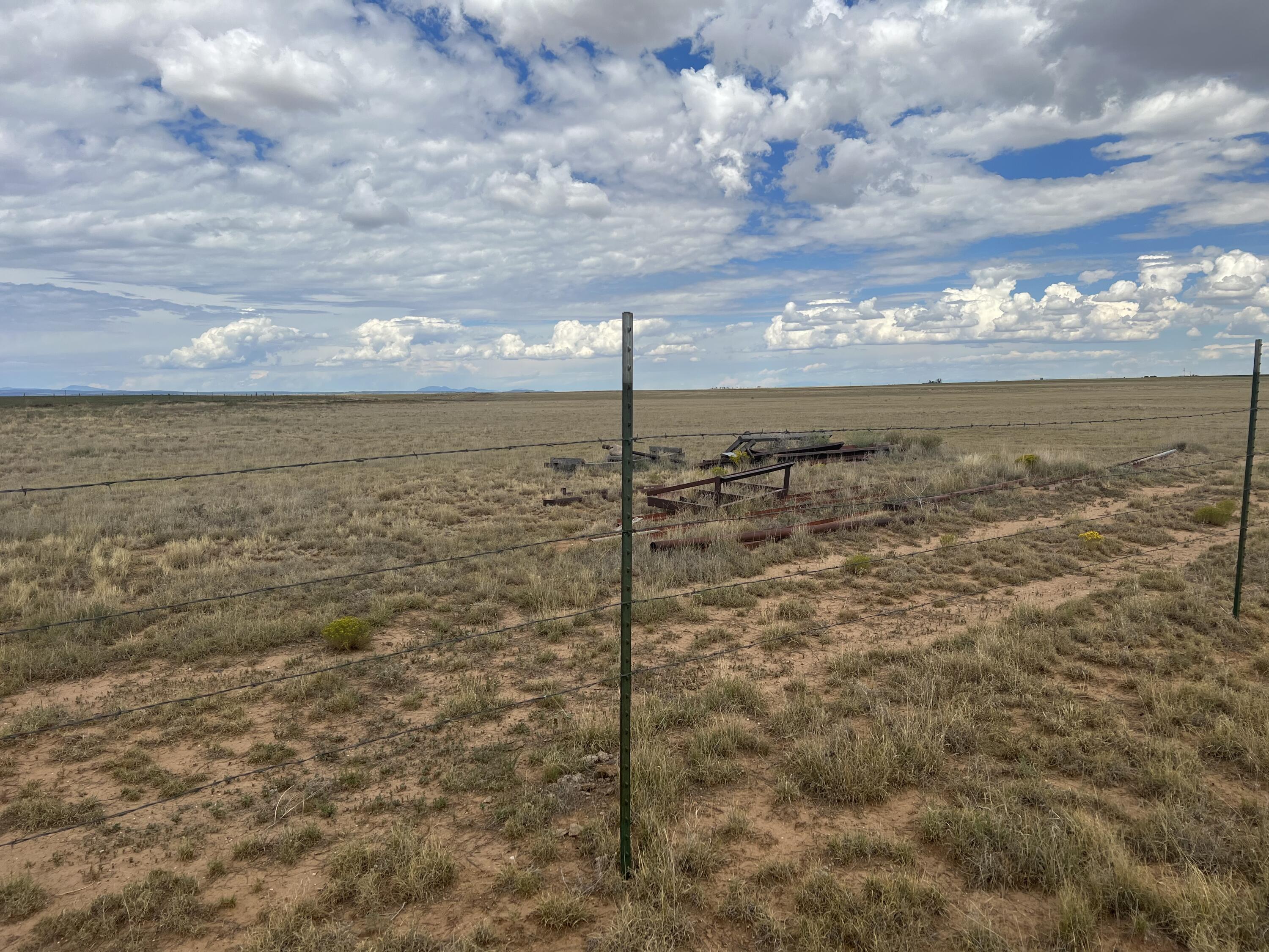 Photo 19 — 57 Watson Road