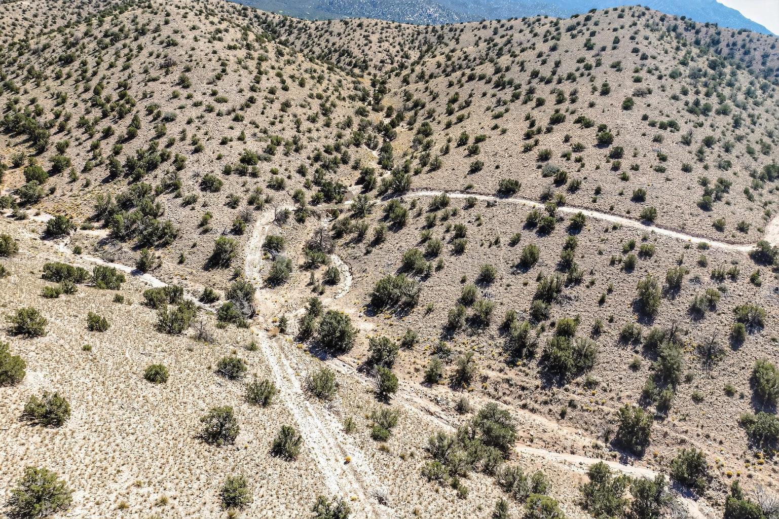 Photo 5 —  Overlook Drive
