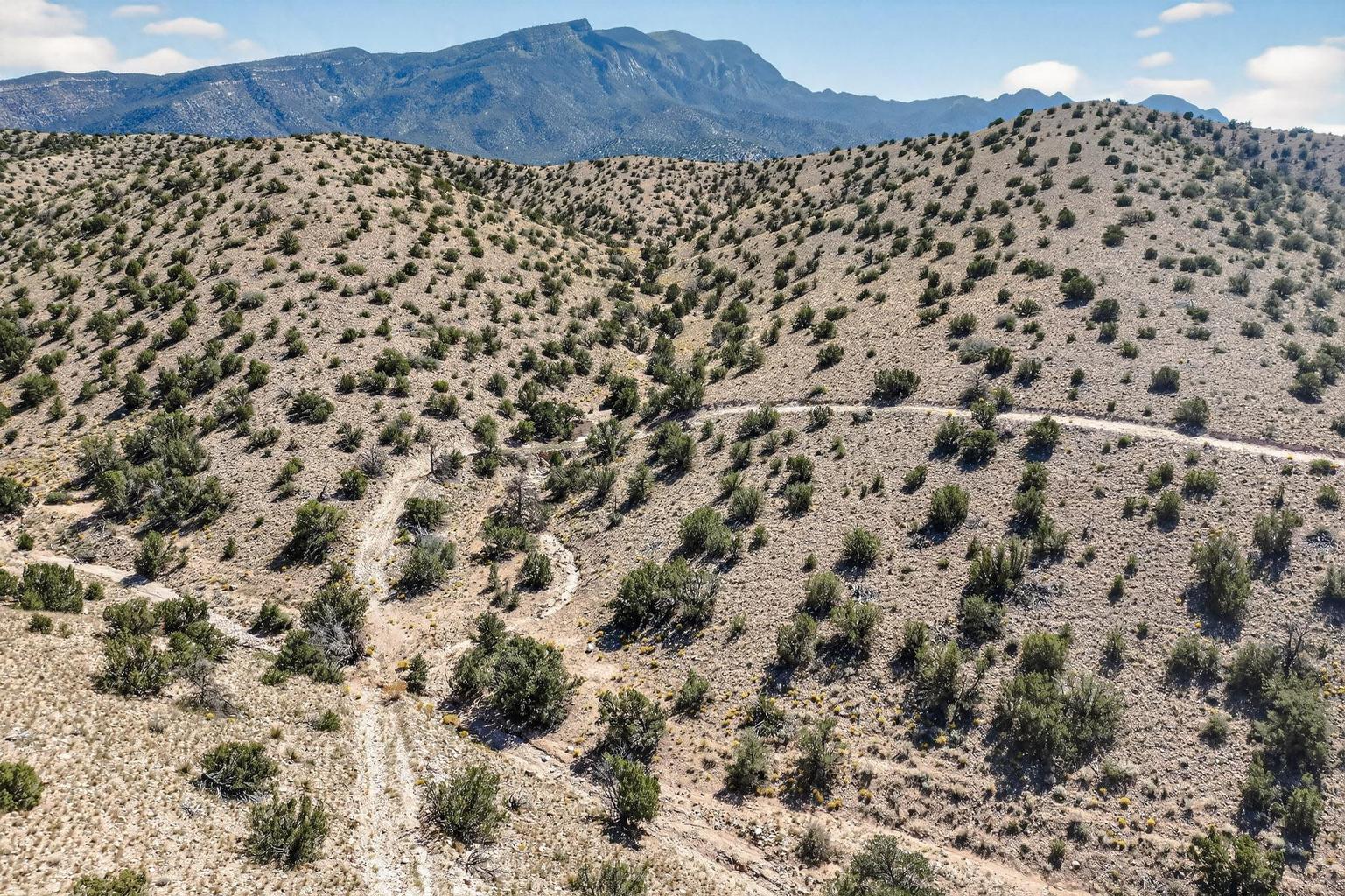 Photo 3 —  Overlook Drive