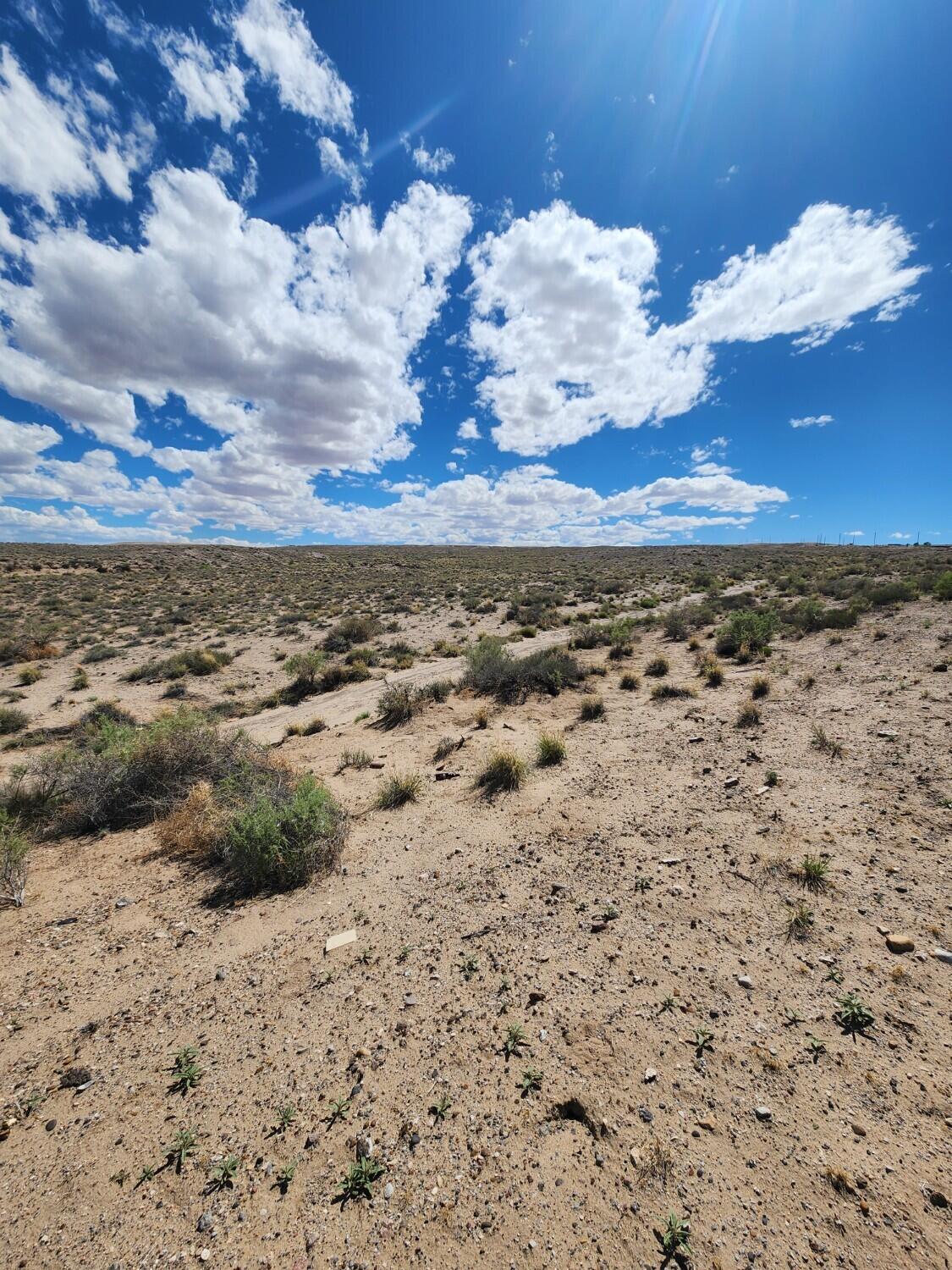 Photo 9 — On Pajarito (DFE) Road SW