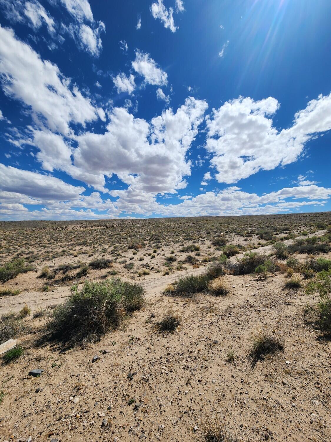 Photo 8 — On Pajarito (DFE) Road SW