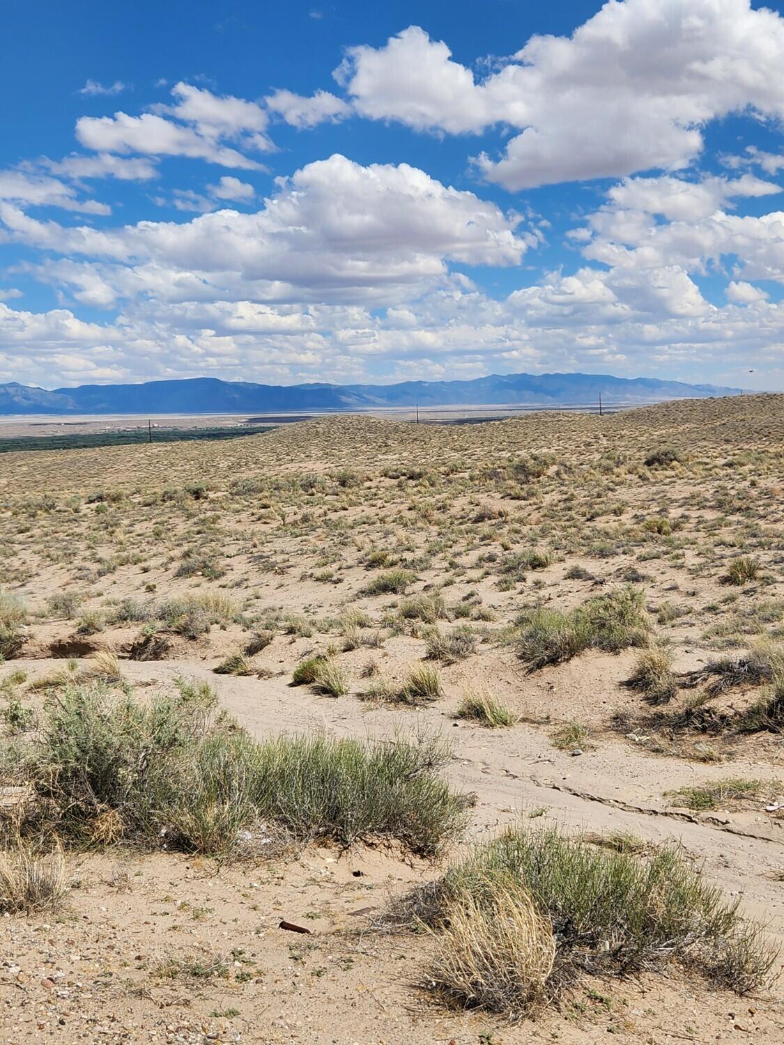 Photo 7 — On Pajarito (DFE) Road SW