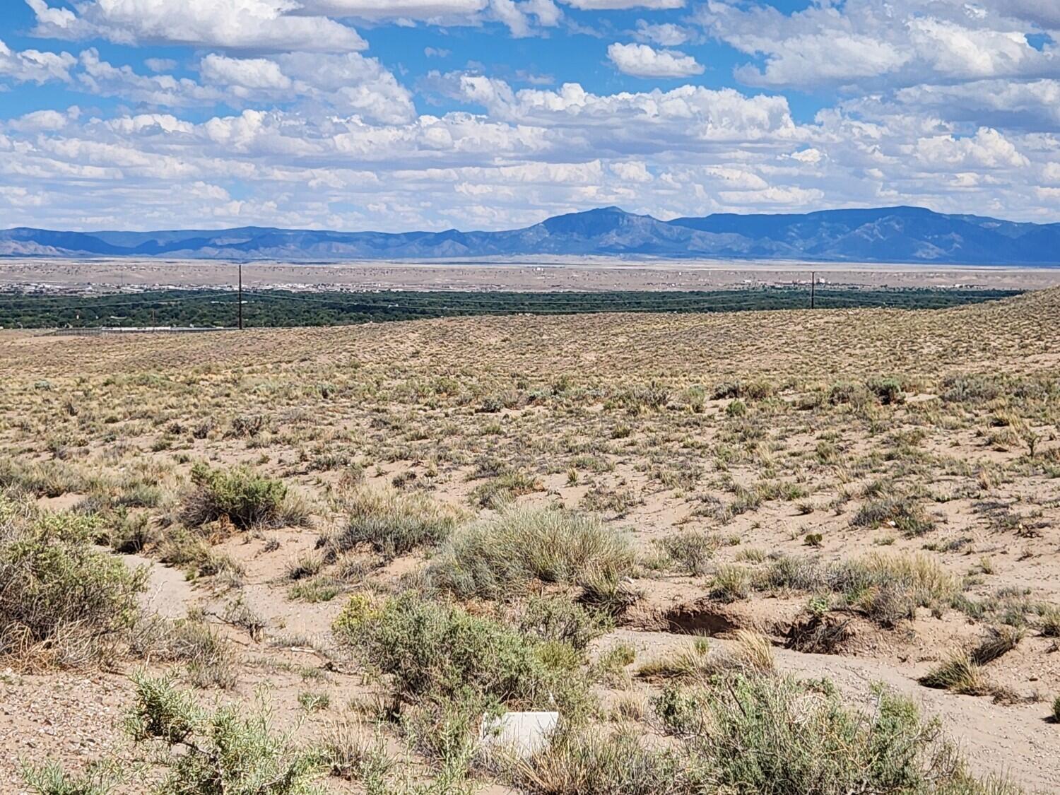 Photo 15 — On Pajarito (DFE) Road SW