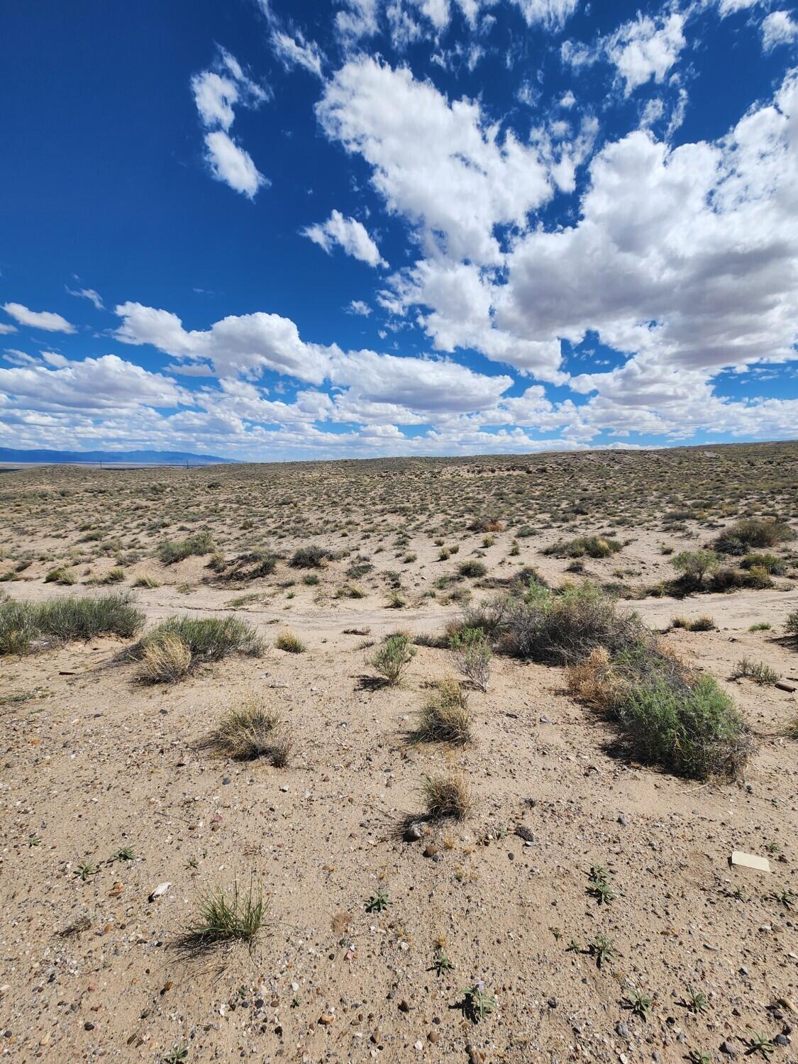 Photo 10 — On Pajarito (DFE) Road SW