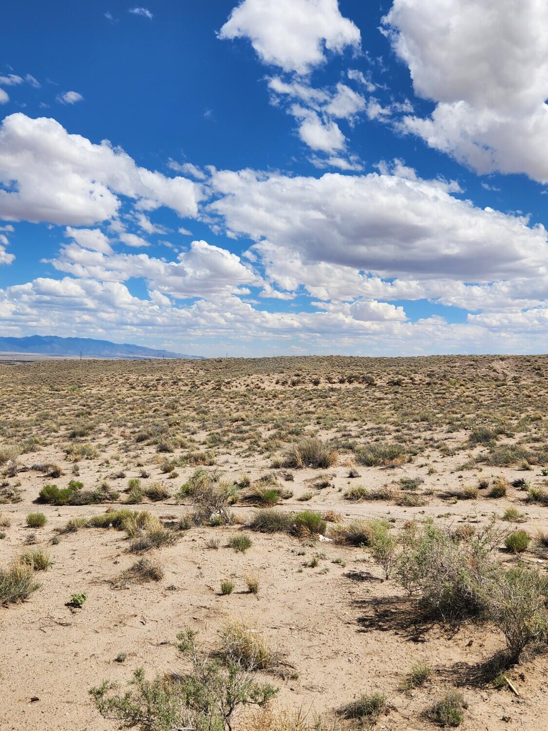 Photo 12 — On Pajarito (DFW) Road SW