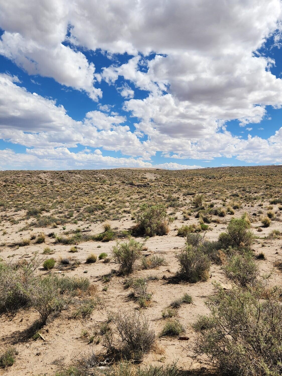 Photo 11 — On Pajarito (DFW) Road SW