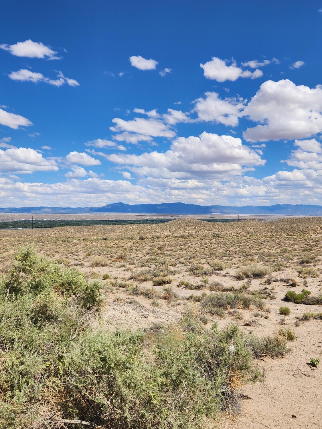 Photo 9 — On Pajarito (DFW) Road SW