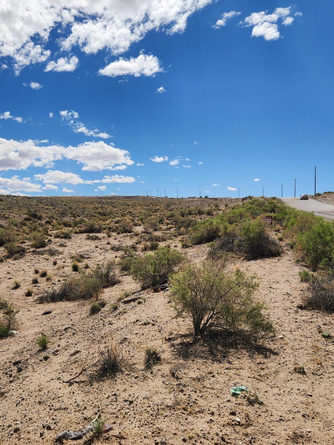 Photo 8 — On Pajarito (DFW) Road SW