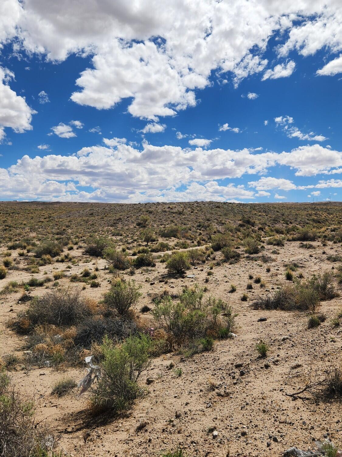 Photo 7 — On Pajarito (DFW) Road SW