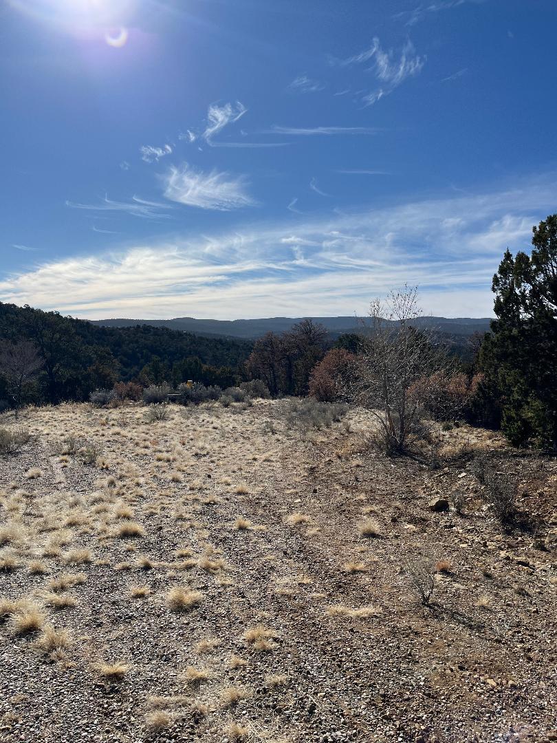 Photo 10 —  Tierra Vista Trail