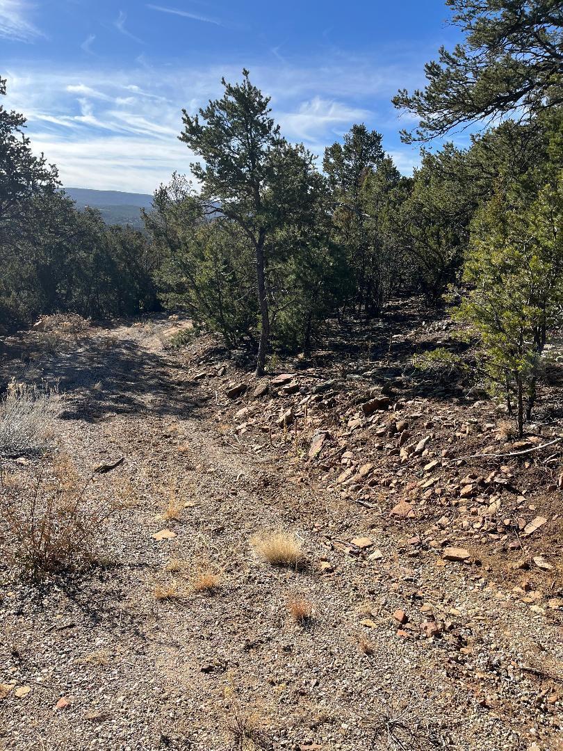 Photo 7 —  Tierra Vista Trail