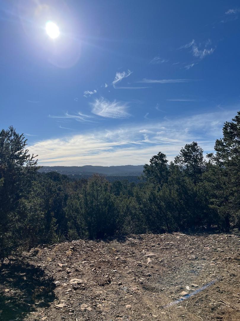 Photo 6 —  Tierra Vista Trail
