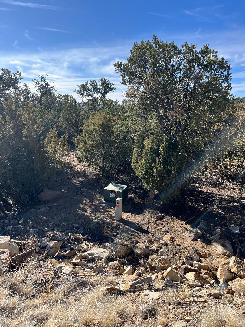 Photo 5 —  Tierra Vista Trail