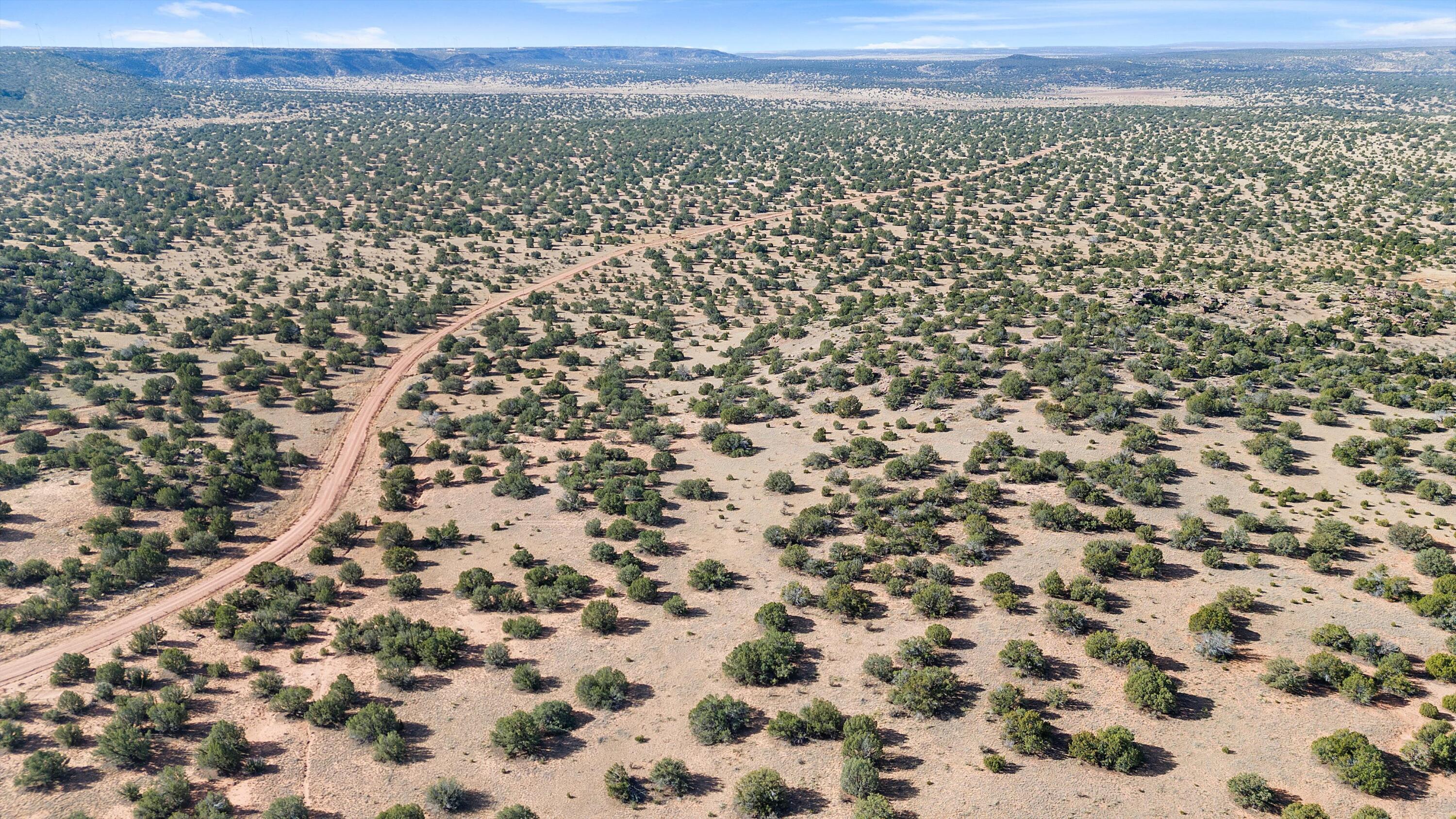 Photo 3 — 1779 Lost Saddle Loop