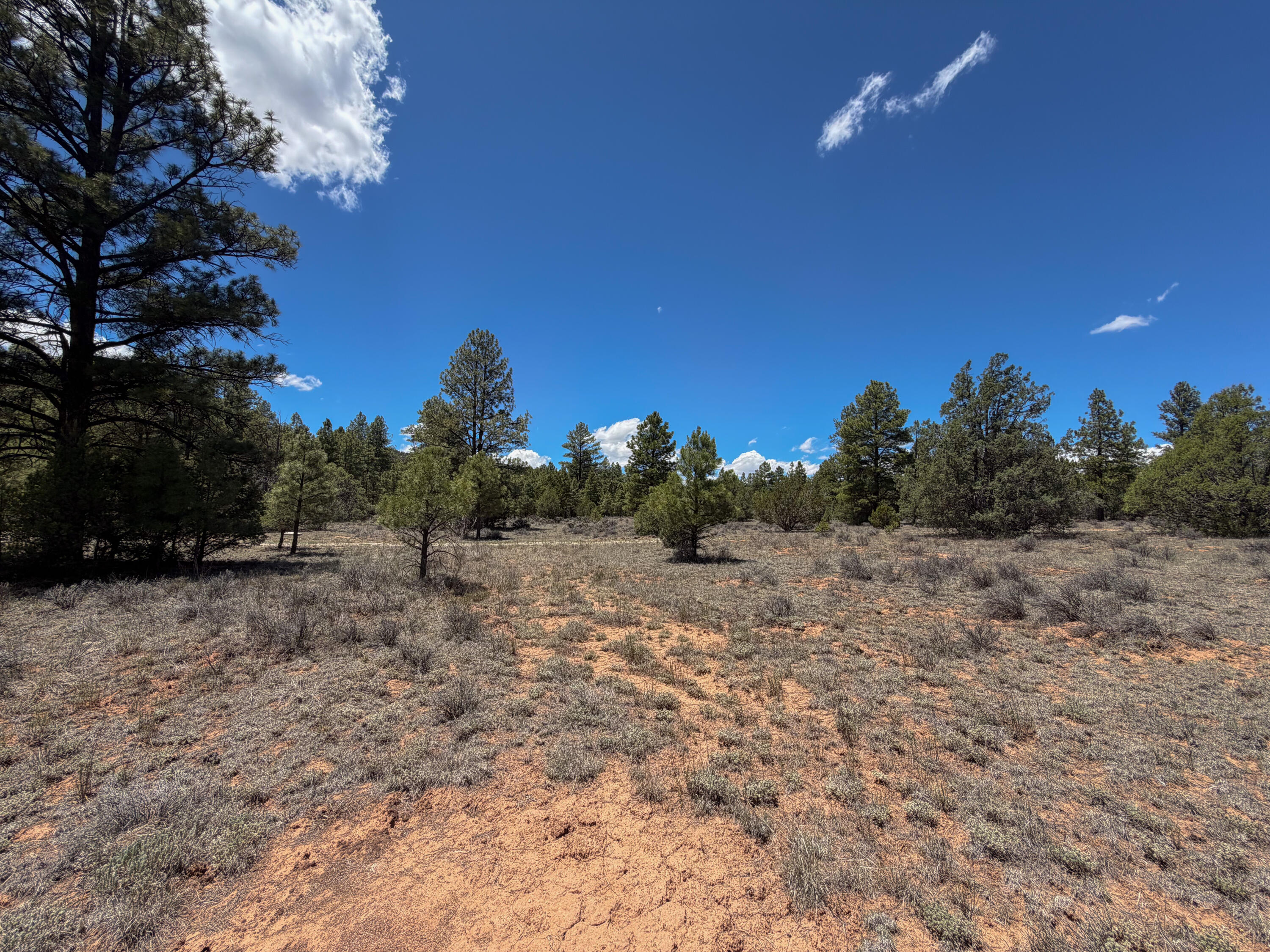Photo 20 — 90 Cottonwood Drive