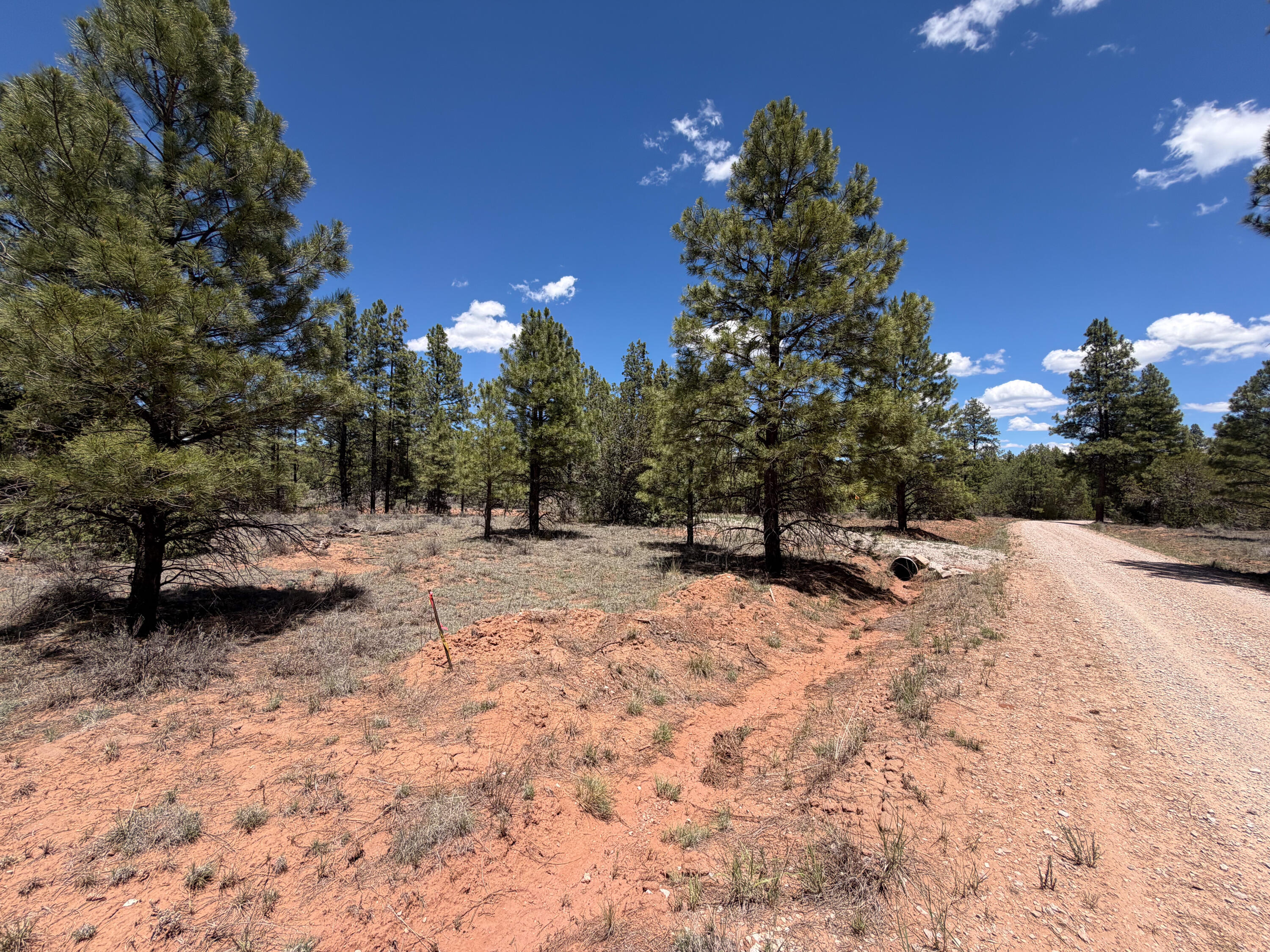 Photo 19 — 90 Cottonwood Drive
