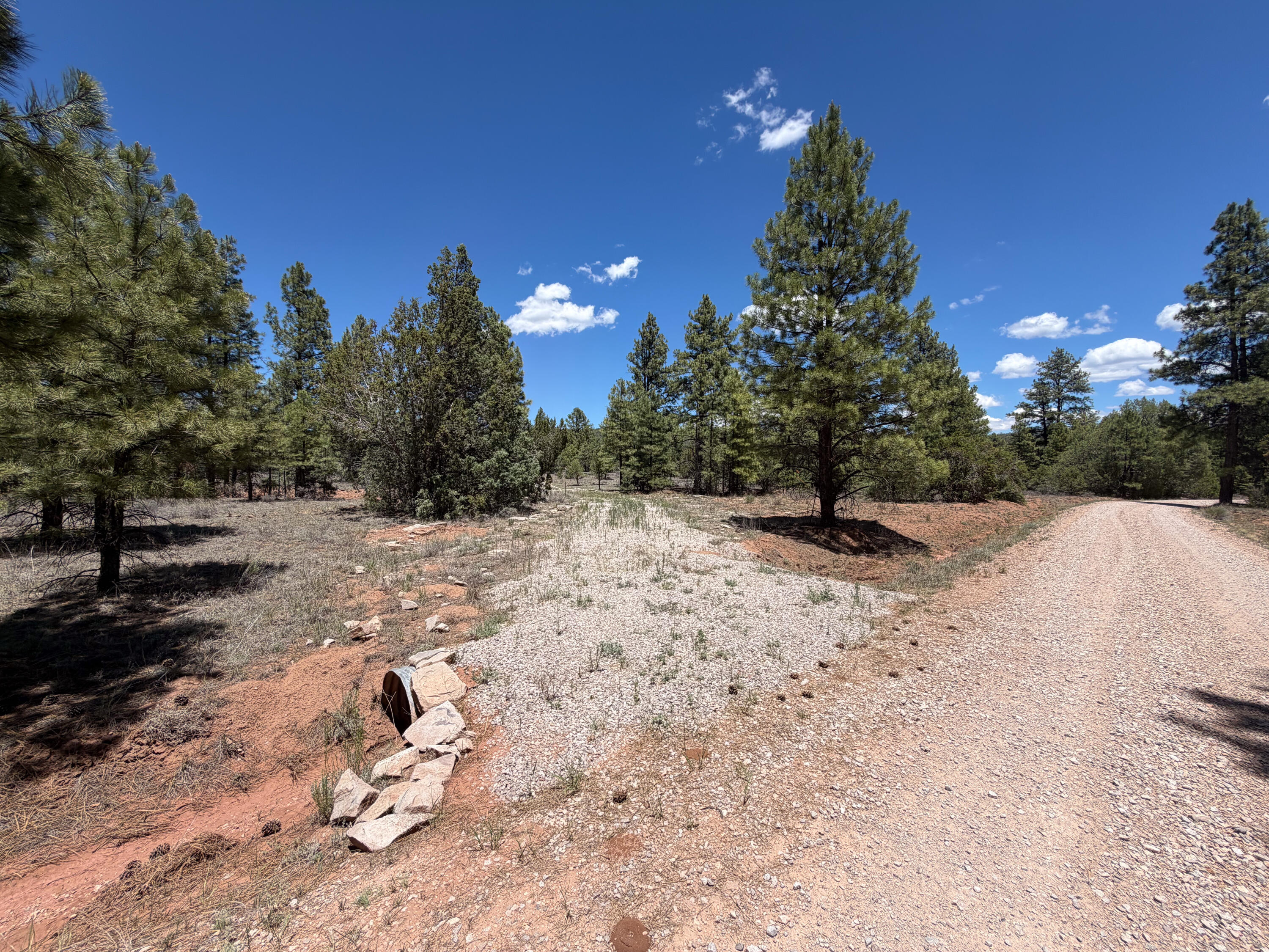 Photo 18 — 90 Cottonwood Drive