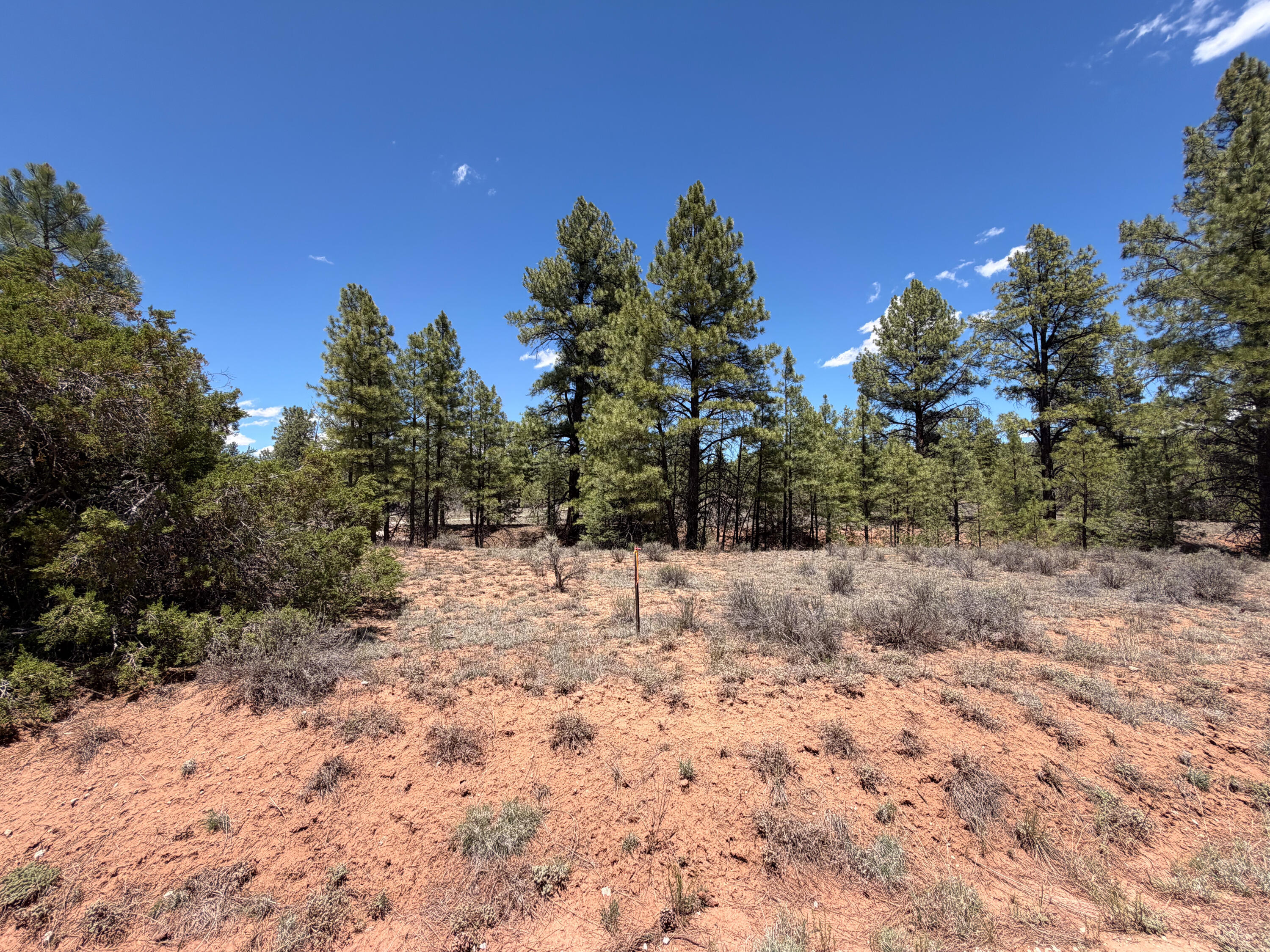 Photo 17 — 90 Cottonwood Drive