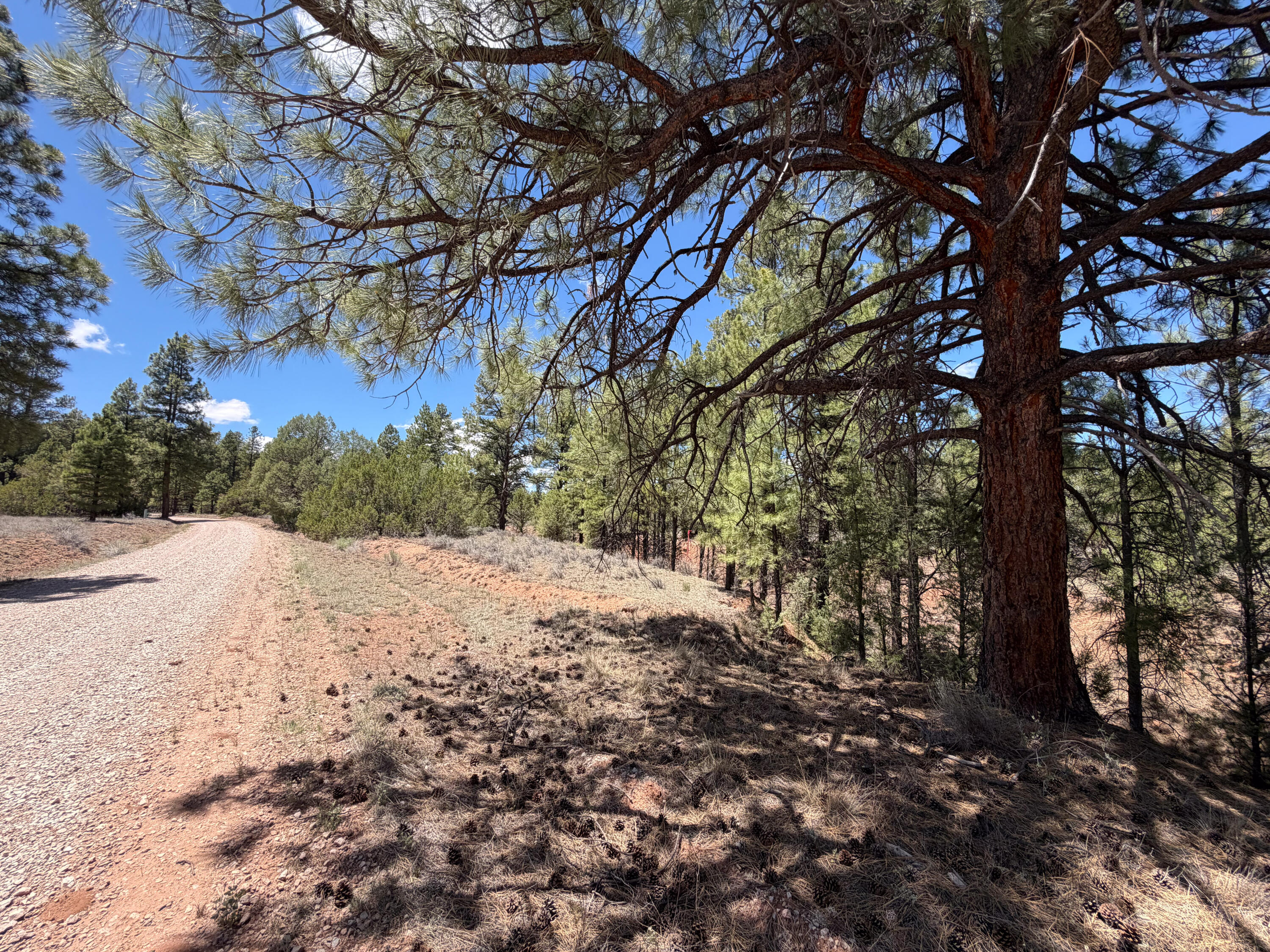 Photo 16 — 90 Cottonwood Drive