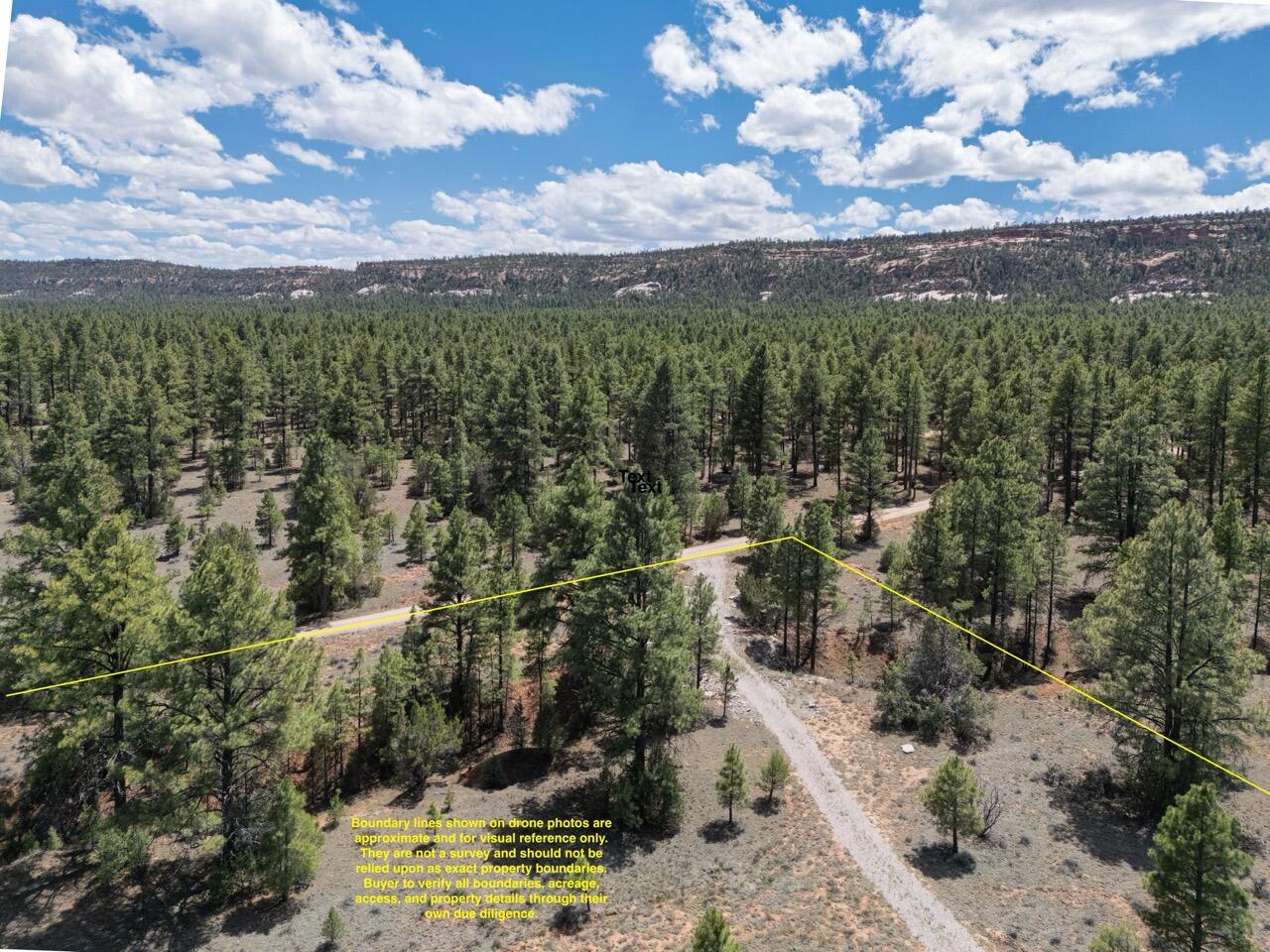 Photo 15 — 90 Cottonwood Drive