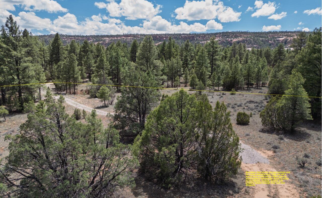 Photo 14 — 90 Cottonwood Drive