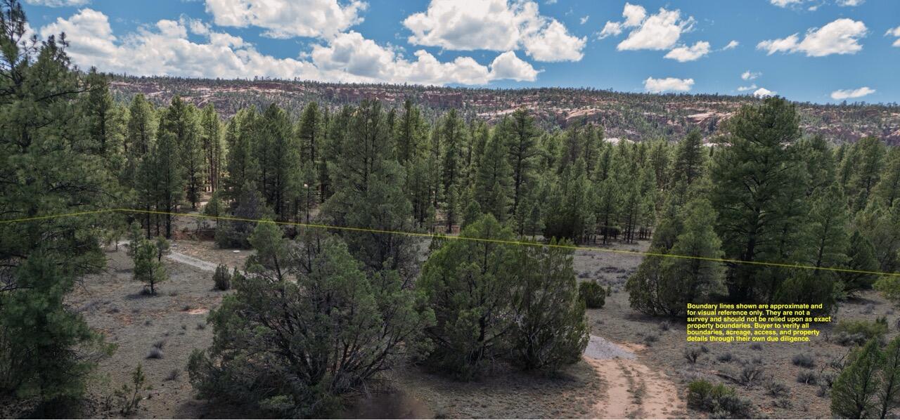 Photo 13 — 90 Cottonwood Drive