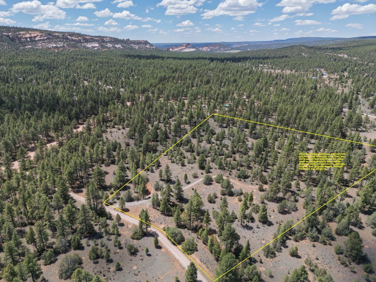 Photo 9 — 90 Cottonwood Drive