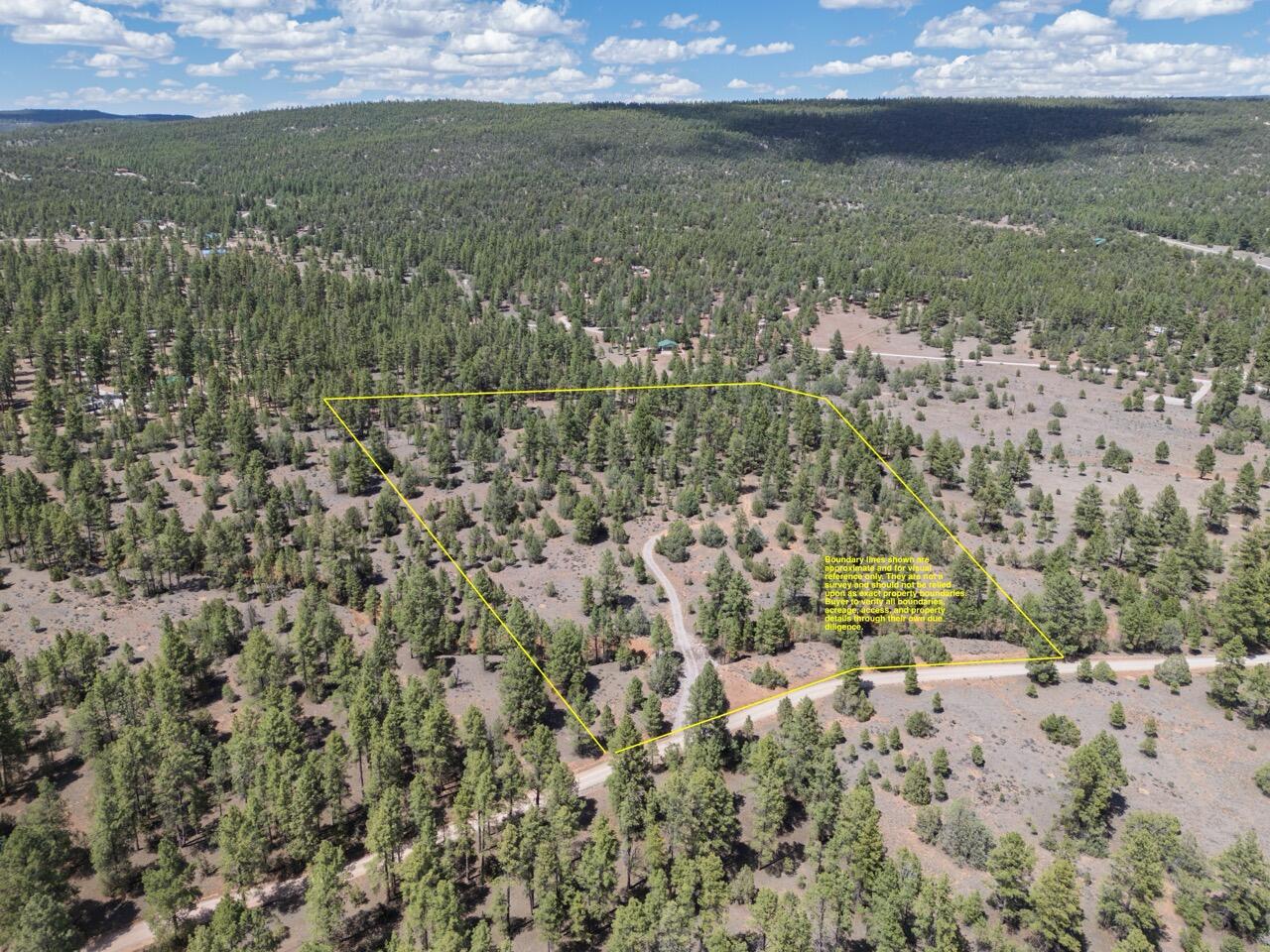 Photo 8 — 90 Cottonwood Drive