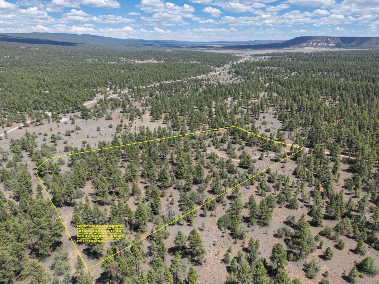 Photo 7 — 90 Cottonwood Drive