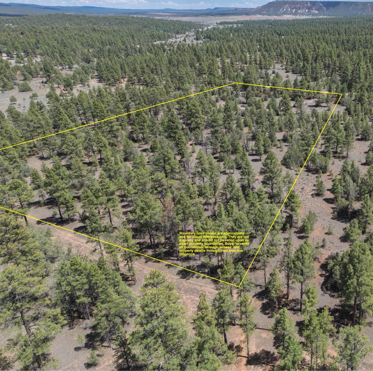 Photo 6 — 90 Cottonwood Drive