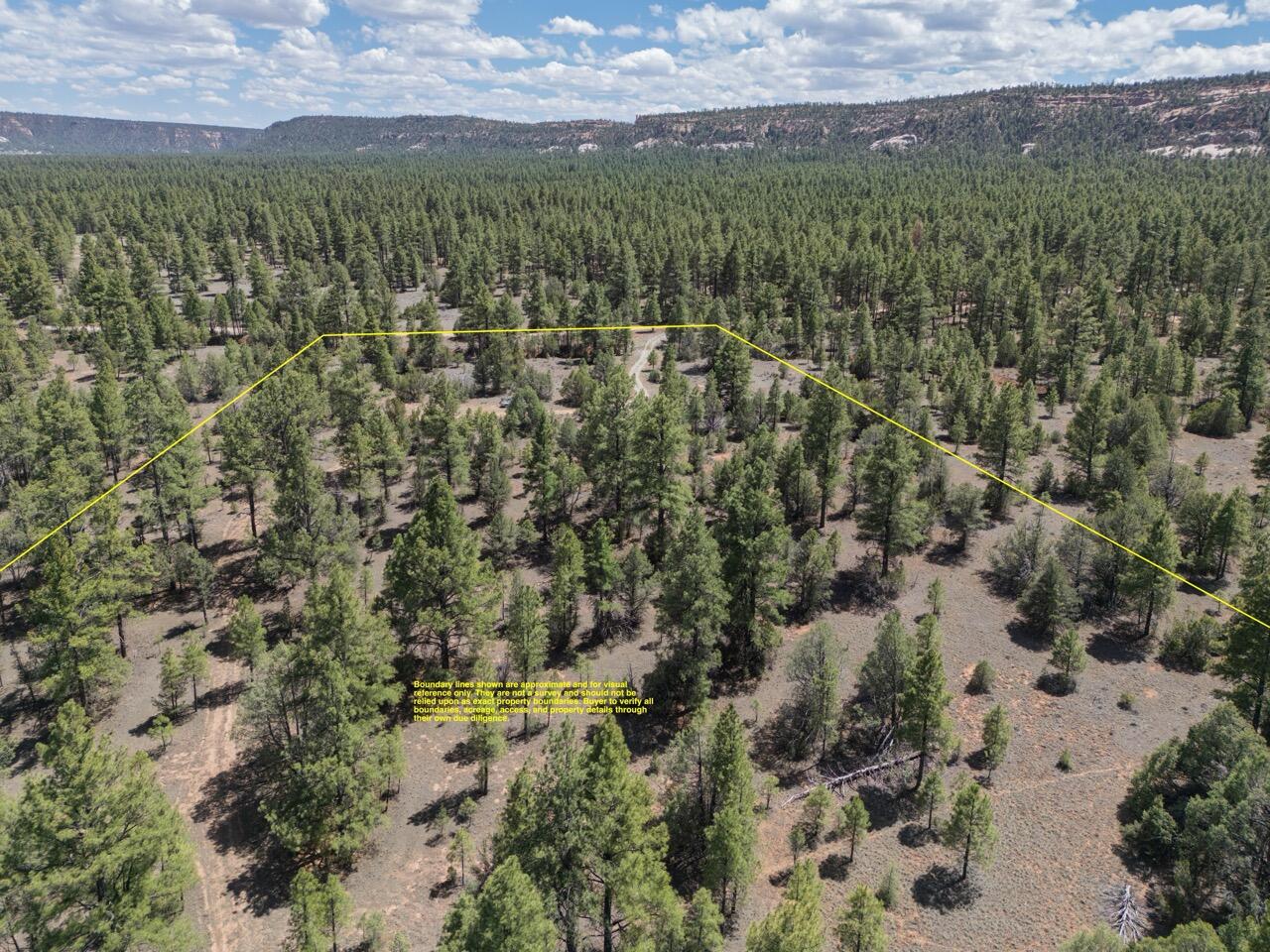 Photo 5 — 90 Cottonwood Drive