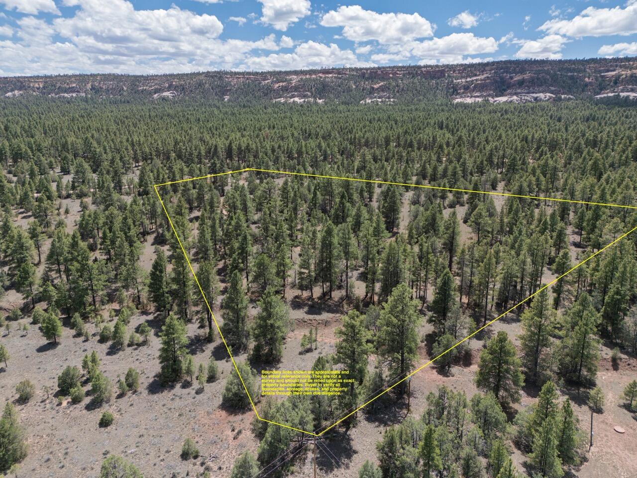 Photo 4 — 90 Cottonwood Drive
