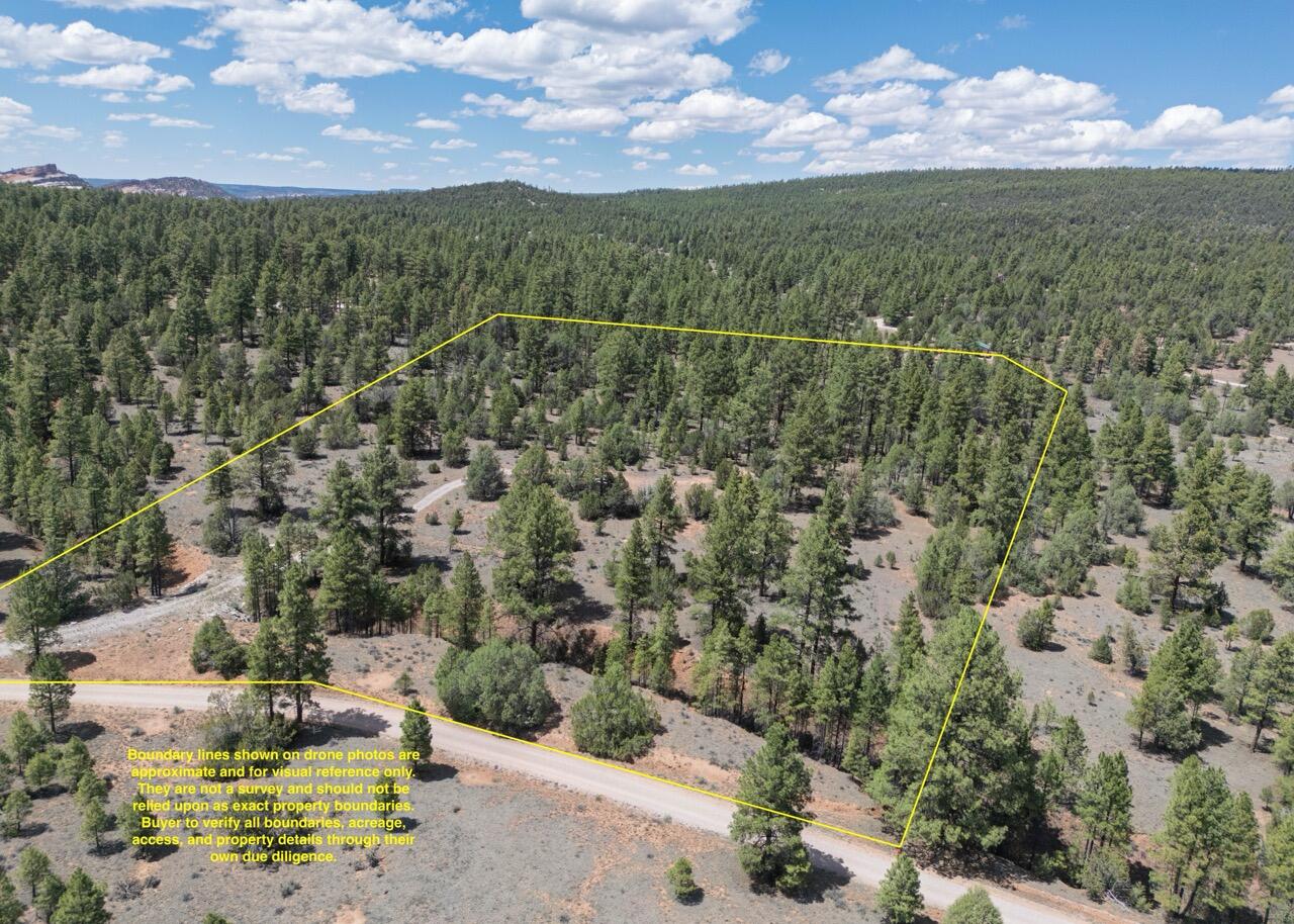 Photo 3 — 90 Cottonwood Drive