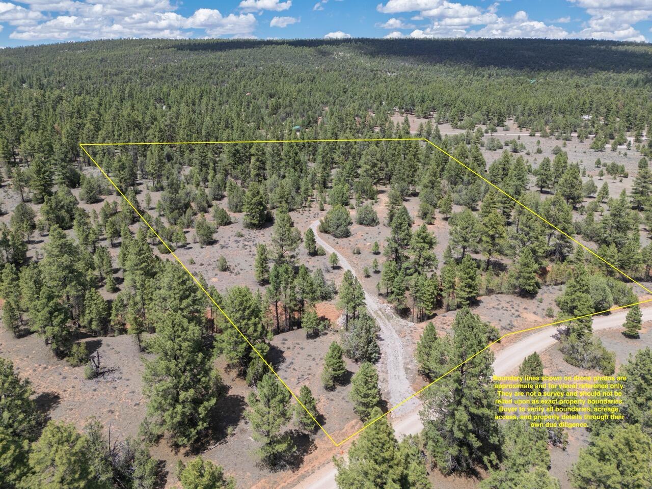 Photo 2 — 90 Cottonwood Drive