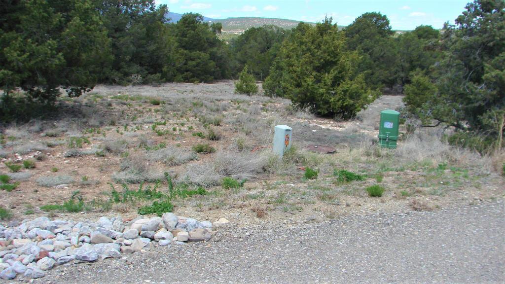 Photo 20 — 5 Red Fox Court
