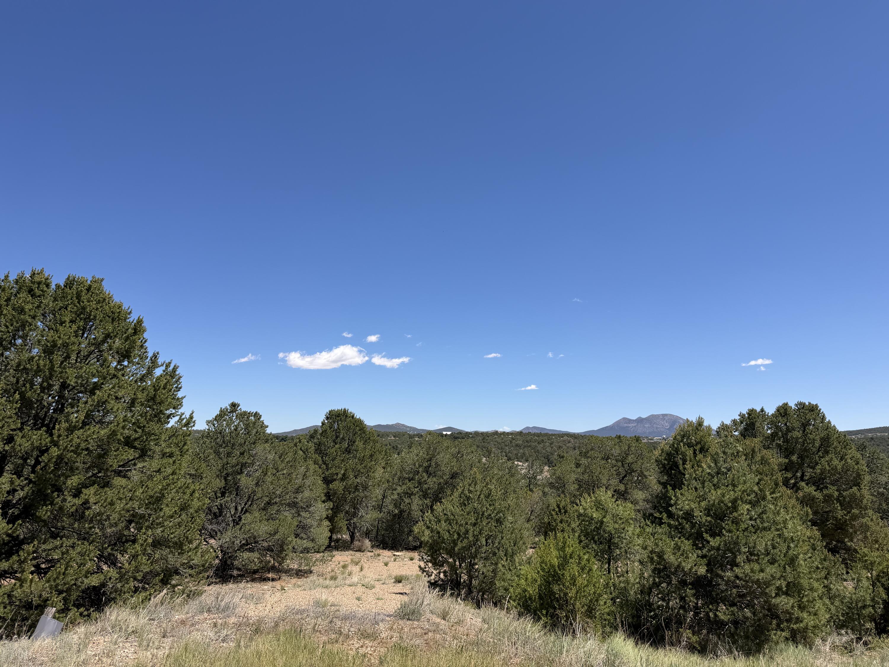 Photo 5 — 5 Red Fox Court