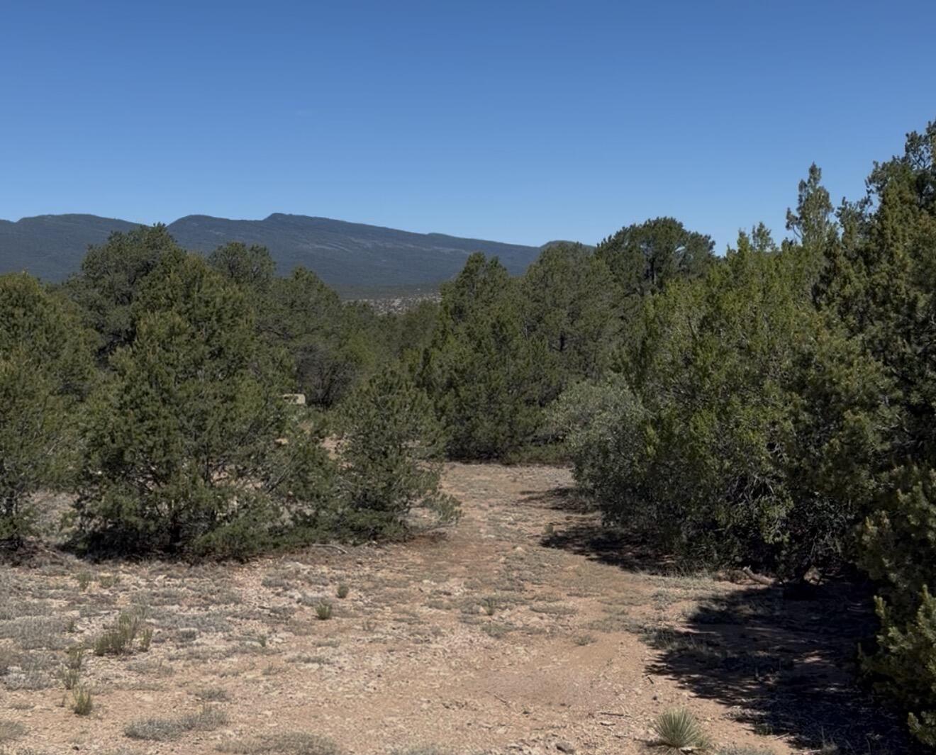 Photo 4 — 5 Red Fox Court