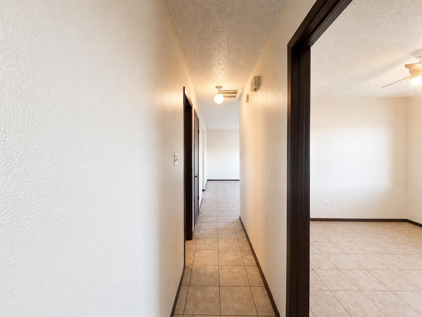 Photo 11 — 703 Lucero Avenue