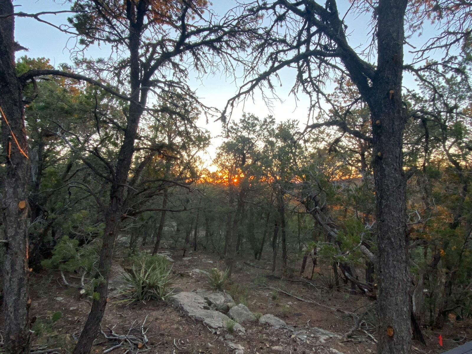 5 Mormon Road, Edgewood, NM 87015
